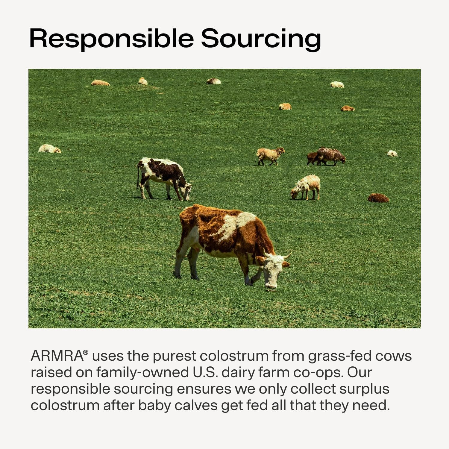 ARMRA Colostrum™ Powder | Blood Orange | Gut Health & Bloating | Skin & Hair | Immunity | Keto, Gluten & Fat-Free | 30 Servings - Image 7