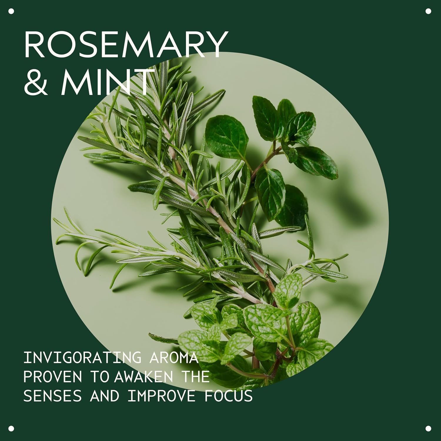 Aveda Rosemary Mint Purifying Shampoo | Clarifying Shampoo | Gently Removes Buildup, Adds Shine | For Normal to Oily Hair, Fine to Medium Hair Types | Invigorating Aroma| 97% Naturally Derived - Image 3