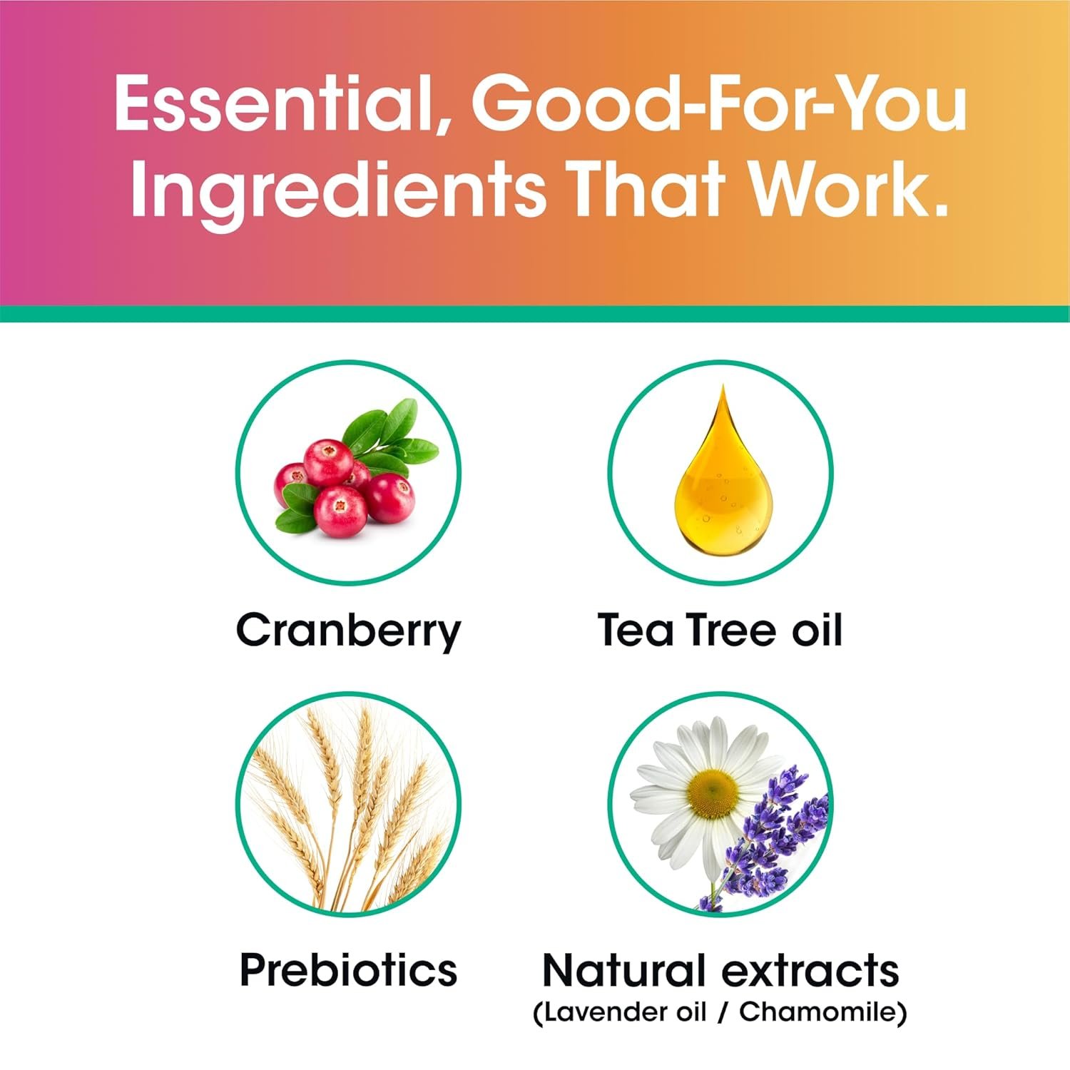 vH Essentials Daily Feminine Wash - 10 Fl Oz - Odor Eliminating Vaginal Wash with Tea Tree Oil, Prebiotics and Cranberry, gentle cleanser + pH balancing - Image 4
