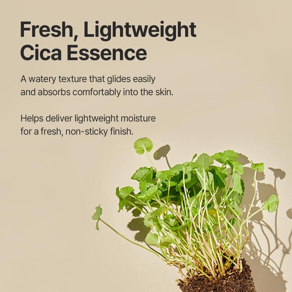 mixsoon Soondy Centella Asiatica Essence-Soothing, Calming and Hydrating for Face, Jeju Island Cica Extracts, Gentle Formula for Balanced, Healthy Skin 100ml / 3.38 fl.oz. Korean Glass Skin Care - Image 3