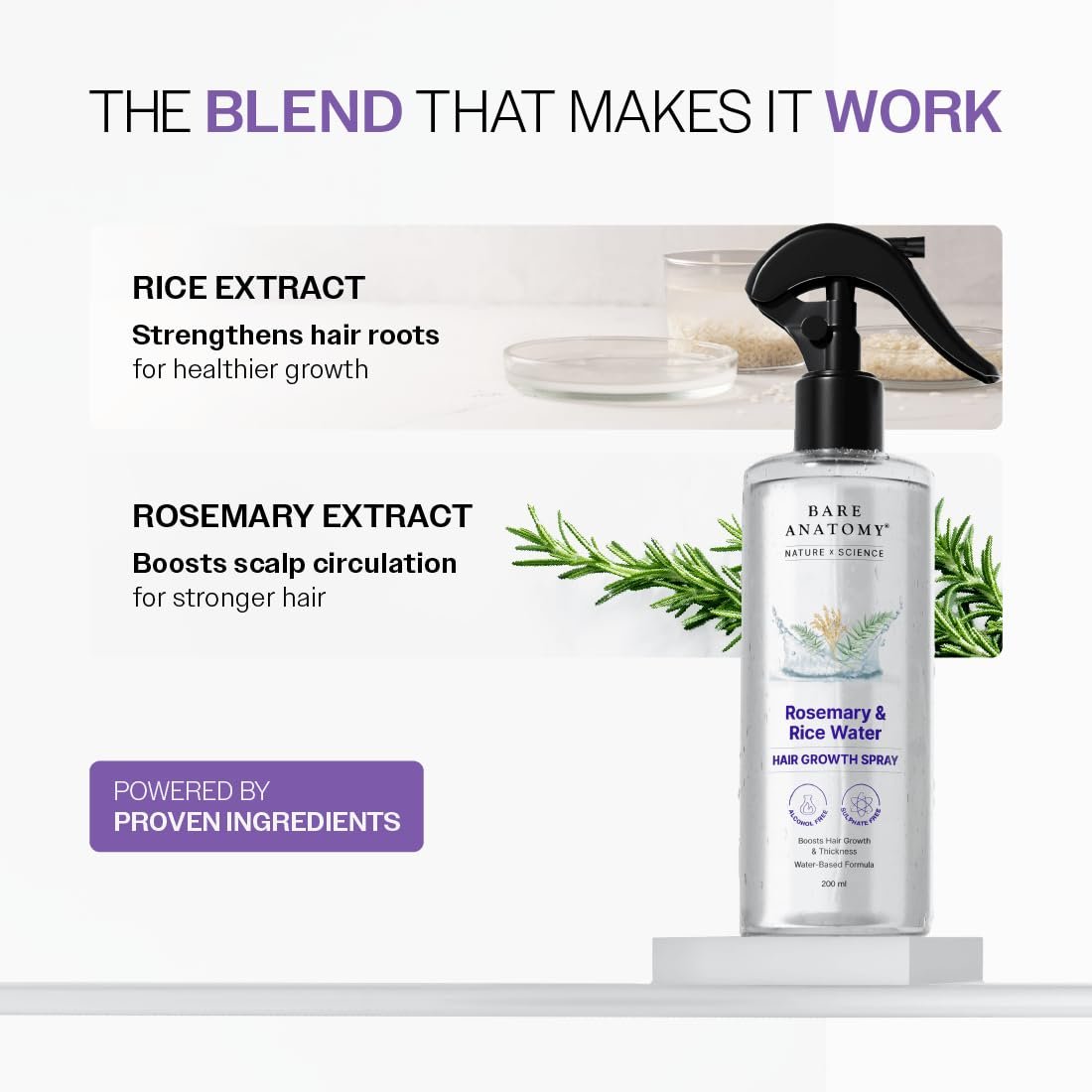 Bare Anatomy Nature x Science Rosemary Water Spray for Hair Growth & Hair Thickness with Rice Water |100% Natural Extract | Soft & Smooth Hair| Controls Hairfall| Non-Greasy & Fast Absorbing | 200ml - Image 4