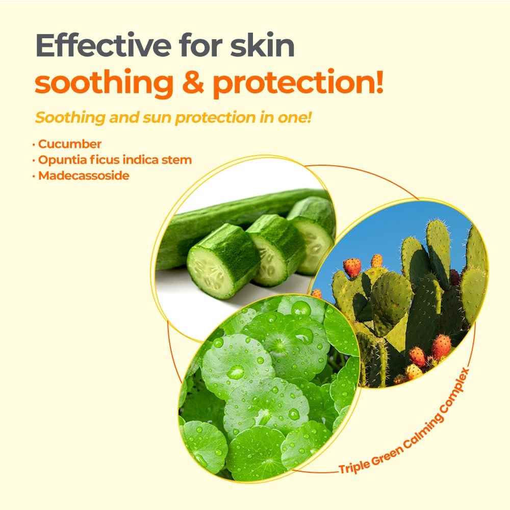 Derma B Everyday Mild Sunscreen SPF50+ PA++++ 1.69 Fl Oz, 50ml Fast-Absorbing Lightweight SPF Sunblock Moisturizer, Facial Body Non-Sticky for Dewy Skin, Korean Sunscreen Lotion for Sensitive Skin - Image 6