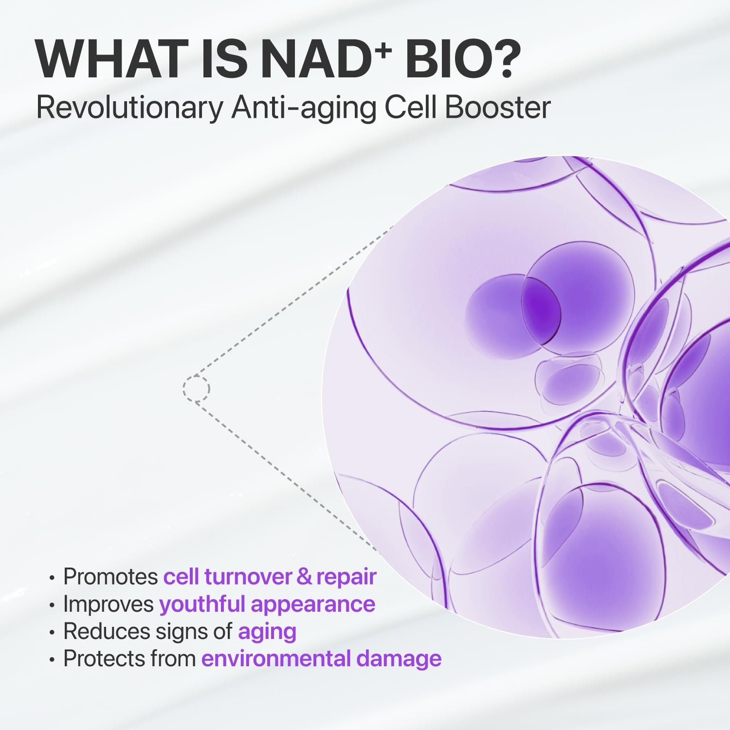 numbuzin No.9 NAD+ Peptide Serum for Face, Neck and Body - for anti-aging, Sagging Skin, Fine Lines & Elasticity, Lifting, Hydrating & Skin Tightening Formula, Korean Skincare 1.69 fl oz - Image 6