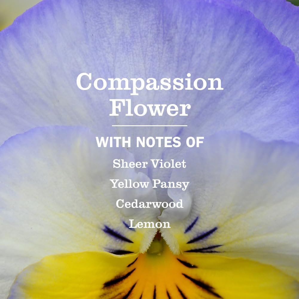 MRS. MEYER'S CLEAN DAY Multi-Surface Everyday Cleaner, Compassion Flower Scent, 16 Fl Oz Bottle - 3 Pack - Image 3