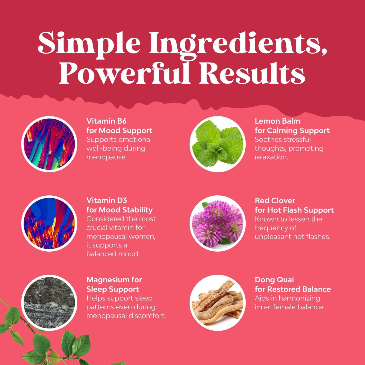 Complete Herbal Menopause Supplement for Women - Multibenefit Menopause Ease Hormone Balance for Women for Night Sweats Mood and More with Dong Quai Vitex Chaste Berry and Black Cohosh - 90 Count - Image 5