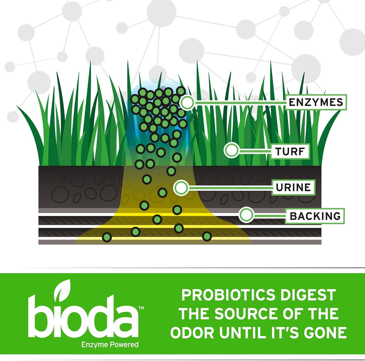 Bioda Probiotic Natural Outdoor Odor Eliminator – Enzyme Cleaner Destroys Cat & Dog Odor – Neutralizer for Lawn, Artificial Grass, and Patios - Image 4