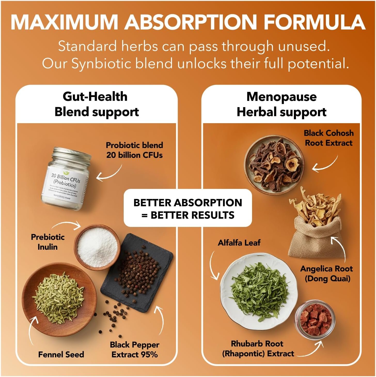 Complete Menopause Support Supplement for Women | Menopause Synbiotic with Black Cohosh, Dong Quai, Rhubarb Root | Helps Easing Hot Flashes, Night Sweats, Restful Sleep | 60 Capsules - Image 4