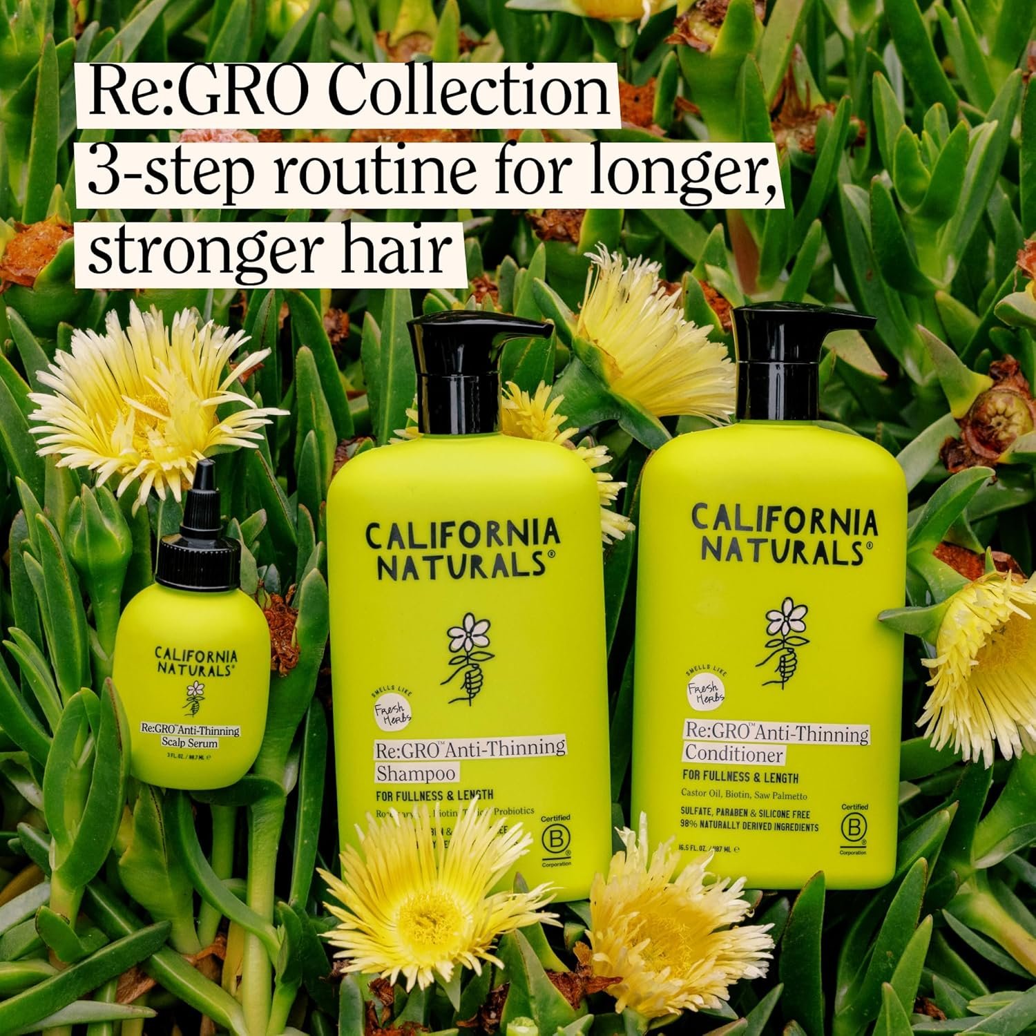 California Naturals Women's Re:GRO Anti-Thinning Scalp Serum, 5% Capixyl with Biotin, Caffeine & Castor and Rosemary Oil, Non-Sticky Cooling Formula, Vegan & Cruelty Free, 3oz - Image 7