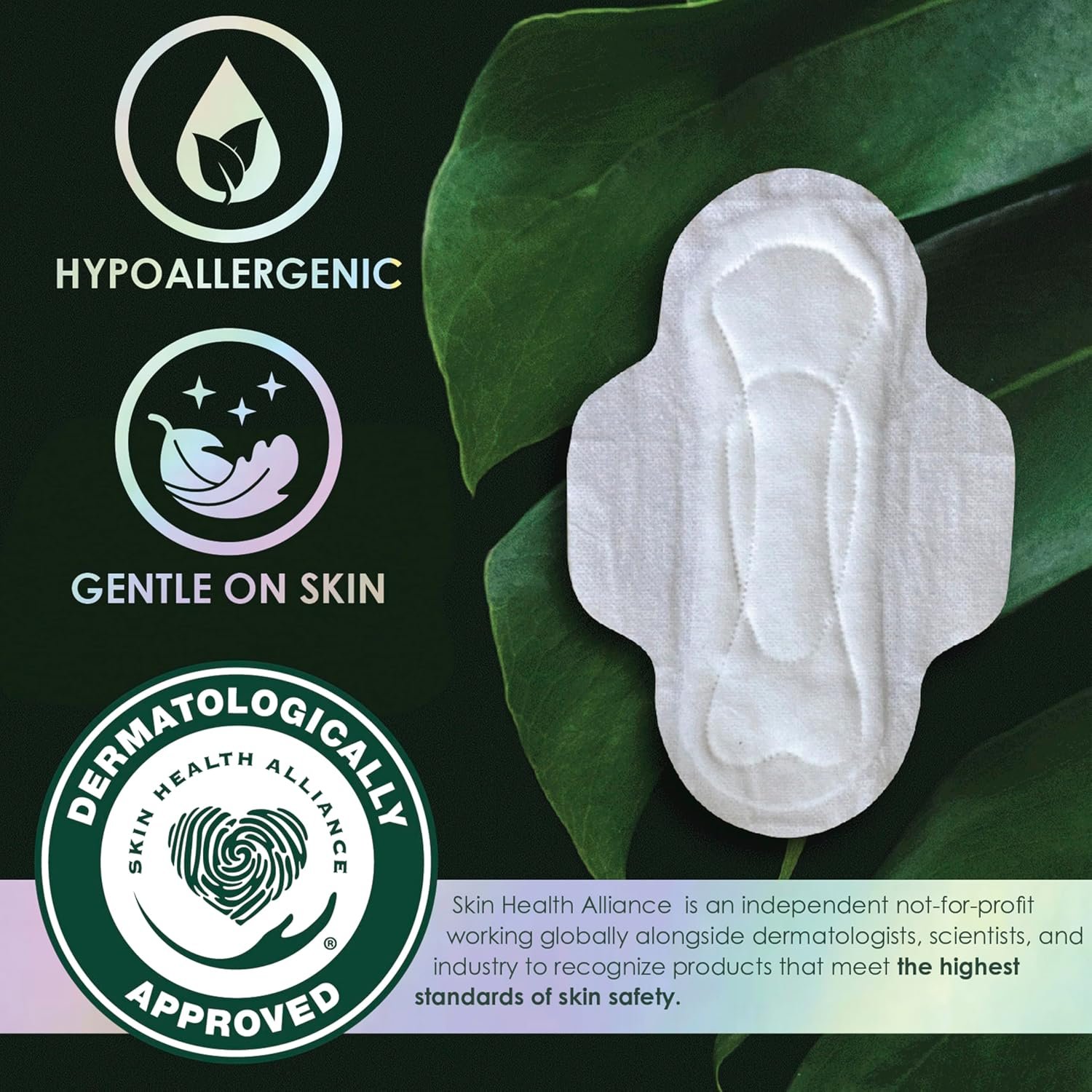 L. Ultra Thin Pads for Women, Regular Absorbency, Organic Cotton Top Layer, Unscented Pads with Wings, 56 Count - Image 7
