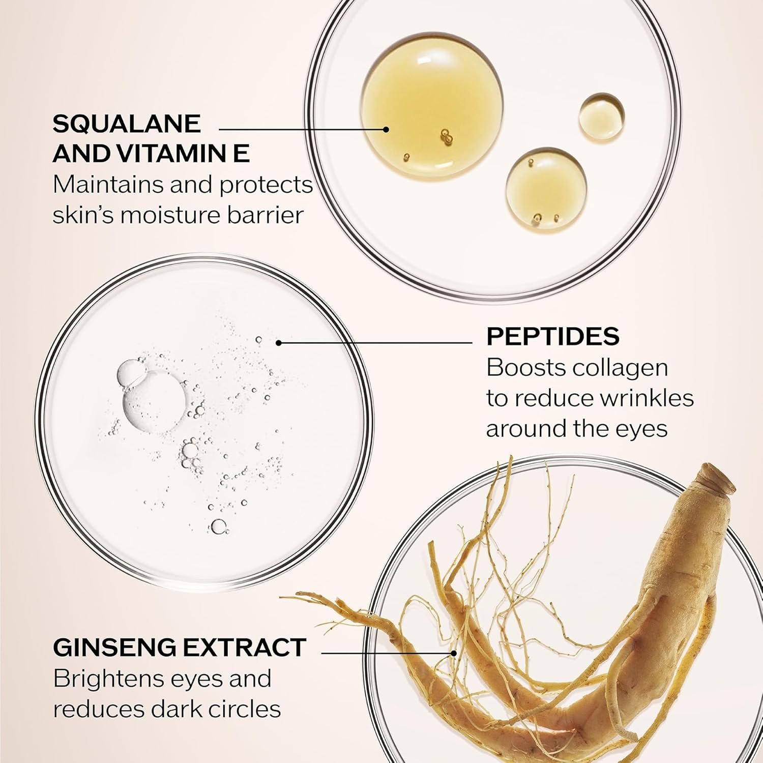 Shiseido Benefiance Wrinkle Smoothing Eye Cream - 15 mL - Visibly Improves Five Types of Eye Wrinkles, Dark Circles & Puffiness - 48-HR Hydration - All Skin Types - Non-Comedogenic - Image 4
