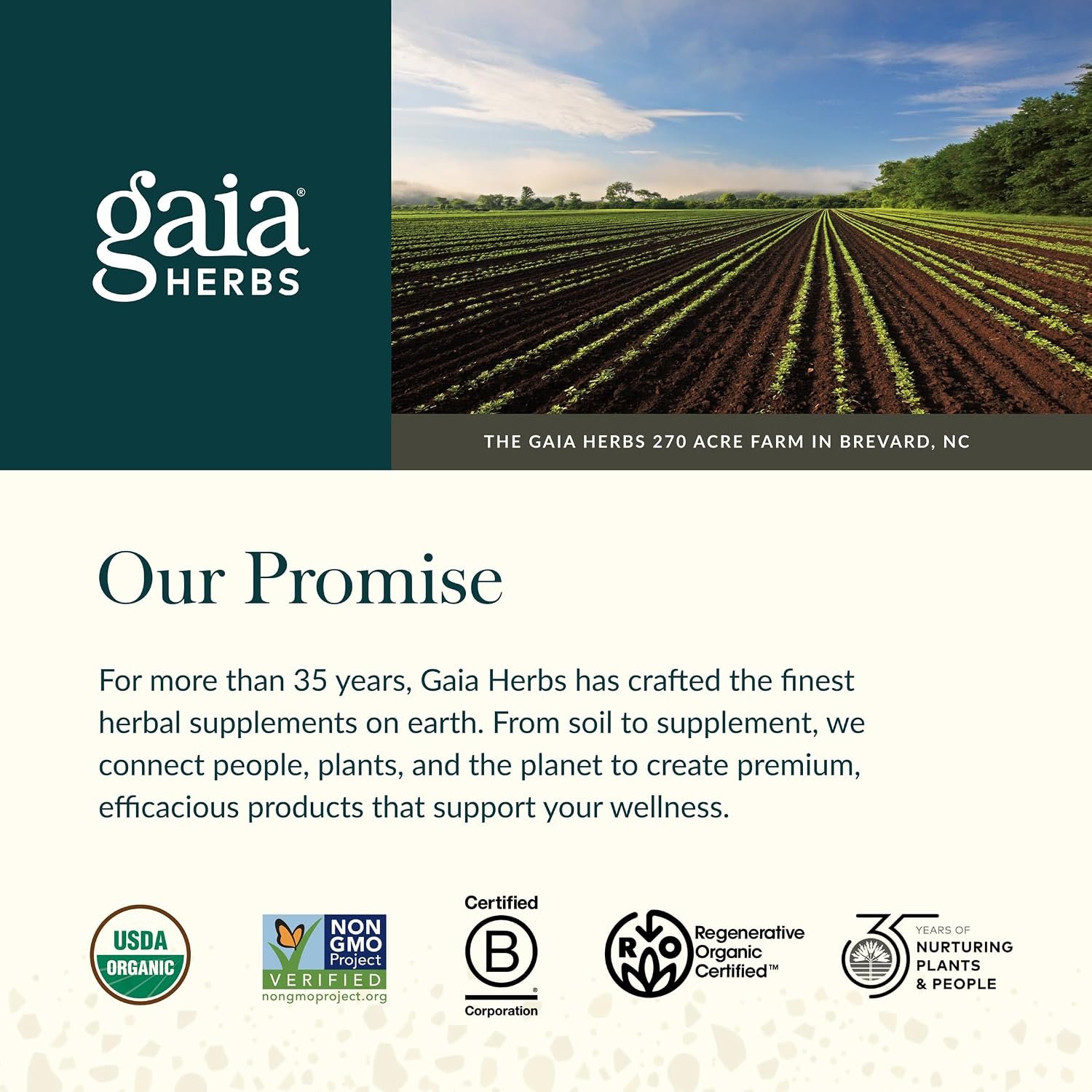 Gaia Herbs Menopause Support Daytime - Helps Support Hormone Balance & Well-Being for Women* - with Vitex, Black Cohosh, St. John's Wort & Oats - 60 Vegan Liquid Phyto-Caps (60 Servings) - Image 7