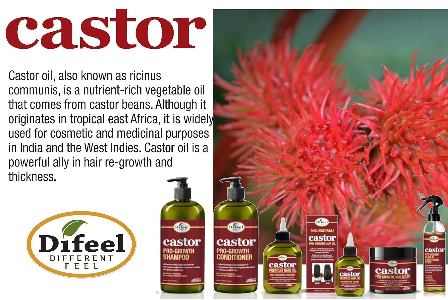 Difeel 99% Natural Premium Hair Oil - Pro-Growth Castor Hair Oil 7.1 oz. - Natural Castor Oil for Hair Growth - Image 8
