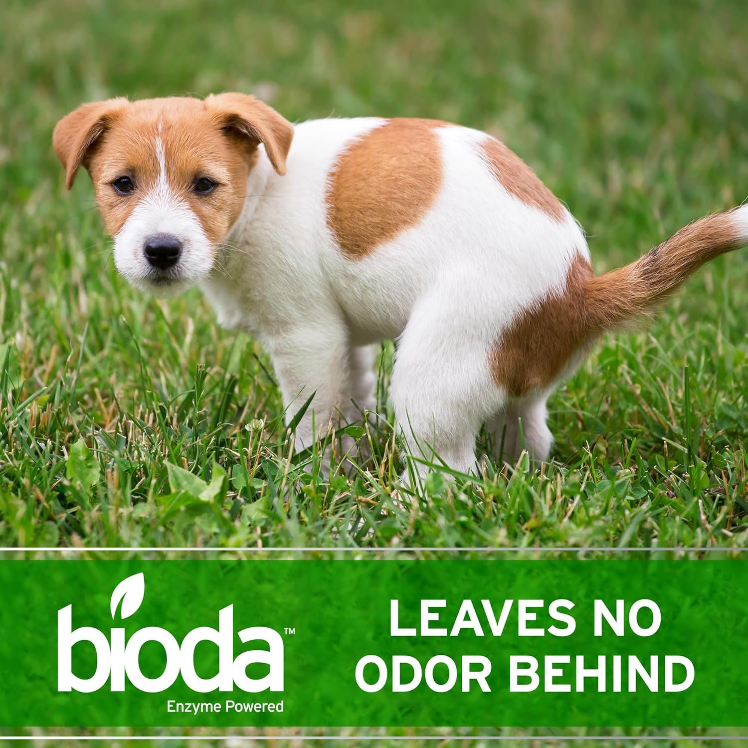 Bioda Probiotic Natural Outdoor Odor Eliminator – Enzyme Cleaner Destroys Cat & Dog Odor – Neutralizer for Lawn, Artificial Grass, and Patios - Image 6