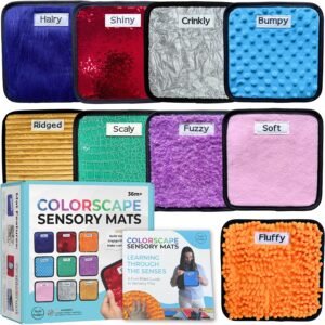 9 Labeled Sensory Mats w/Lesson Plans | Sensory Toys for Kids with Autism | Mats for Autistic Children | Occupational Therapy Toys | Sensory Wall for Autism Classroom Must Haves