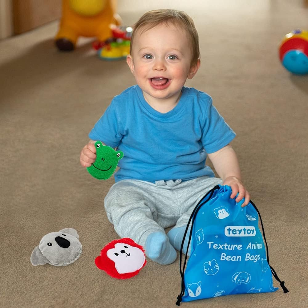 teytoy Sensory Bean Bag for Kids 10 Pack,Texture Sensory Beanbags,Sensory Toys for Autism,Animal Sensory Fine Motor Toys with Storage Bag for Boys and Girls - Image 8