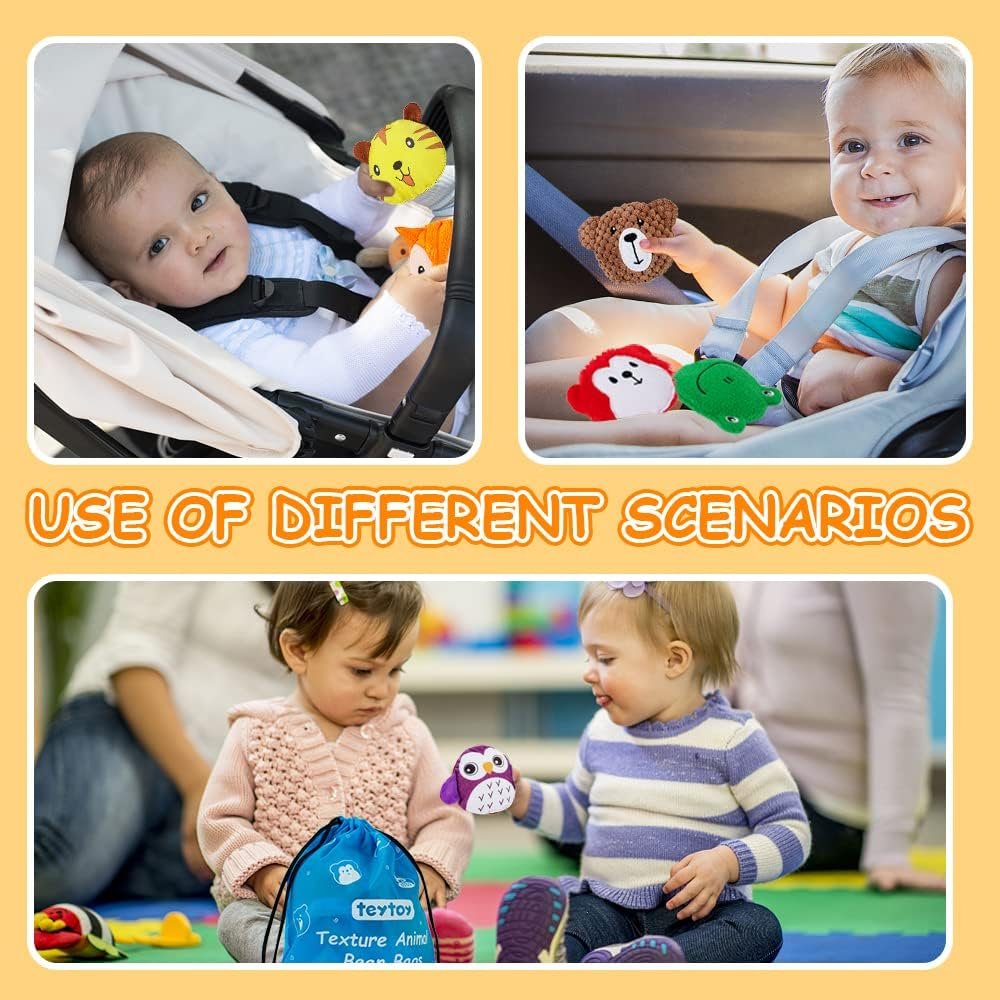 teytoy Sensory Bean Bag for Kids 10 Pack,Texture Sensory Beanbags,Sensory Toys for Autism,Animal Sensory Fine Motor Toys with Storage Bag for Boys and Girls - Image 9