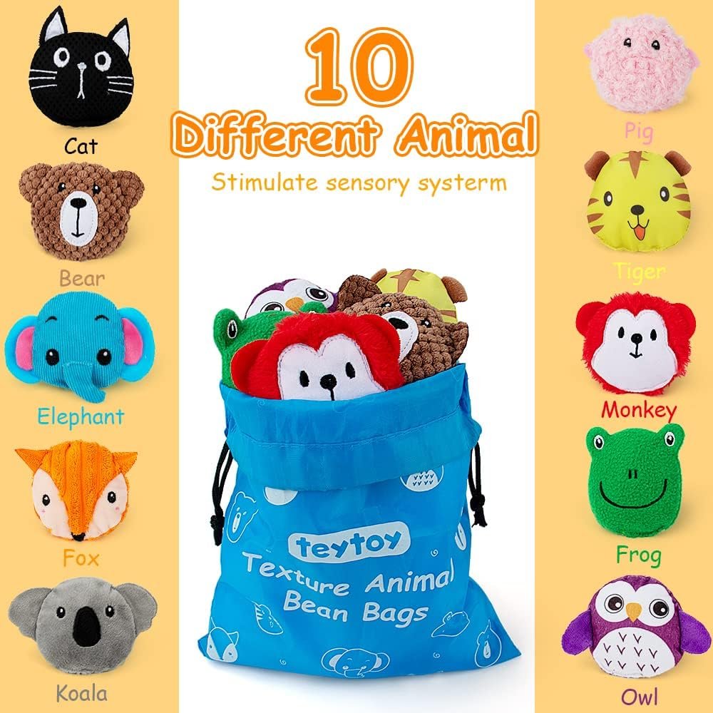 teytoy Sensory Bean Bag for Kids 10 Pack,Texture Sensory Beanbags,Sensory Toys for Autism,Animal Sensory Fine Motor Toys with Storage Bag for Boys and Girls - Image 2