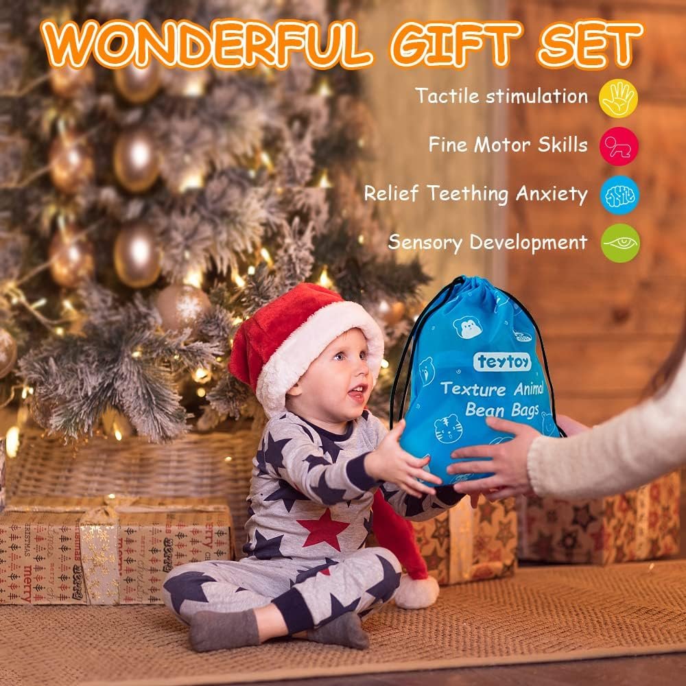 teytoy Sensory Bean Bag for Kids 10 Pack,Texture Sensory Beanbags,Sensory Toys for Autism,Animal Sensory Fine Motor Toys with Storage Bag for Boys and Girls - Image 5