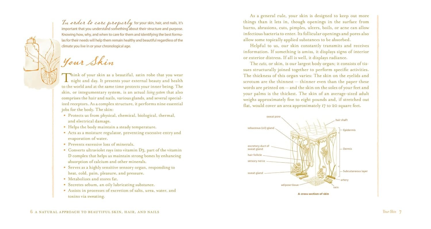 Organic Body Care Recipes: 175 Homemade Herbal Formulas for Glowing Skin & a Vibrant Self - Image 3