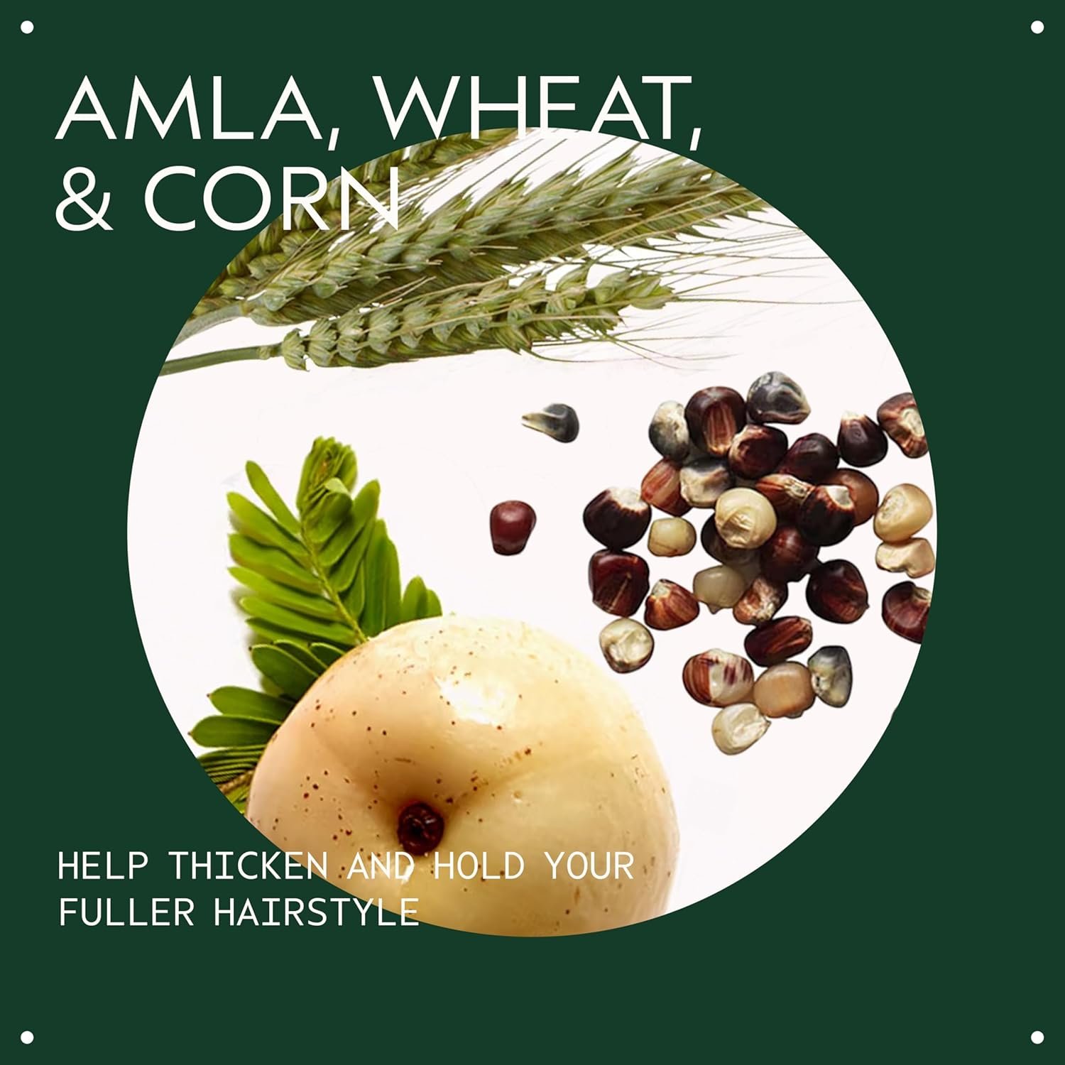 Aveda Thickening Tonic | Instantly Thickens Hair | Spray for Thin and Fine Hair | with Wheat, Corn, and Certified Organic Amla | 96% Naturally Derived - Image 3