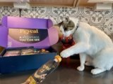 Reveal Wet Cat Food & Treats Review 2026: Our Expert’s Opinion