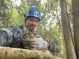 Canopy Cat Rescue: The Team Rescuing Cats From the Treetops | Heroes of the Pet World