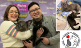 Six Legs Are Better Than Three – How A Tripod Dog and Kitten Found Friendship Through Recovery